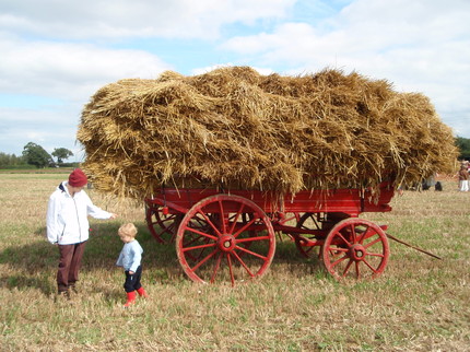hay-cart.jpg